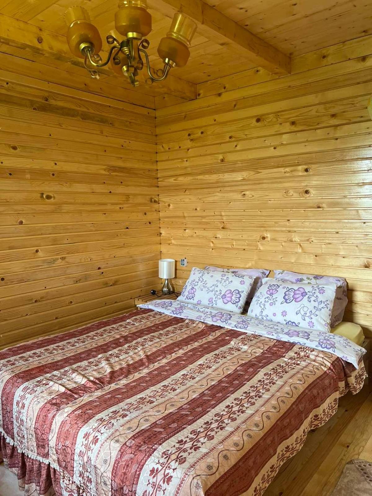 Kolibe Coric Villa Mojkovac Exterior photo